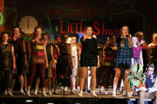 Little Shop of Horrors 206